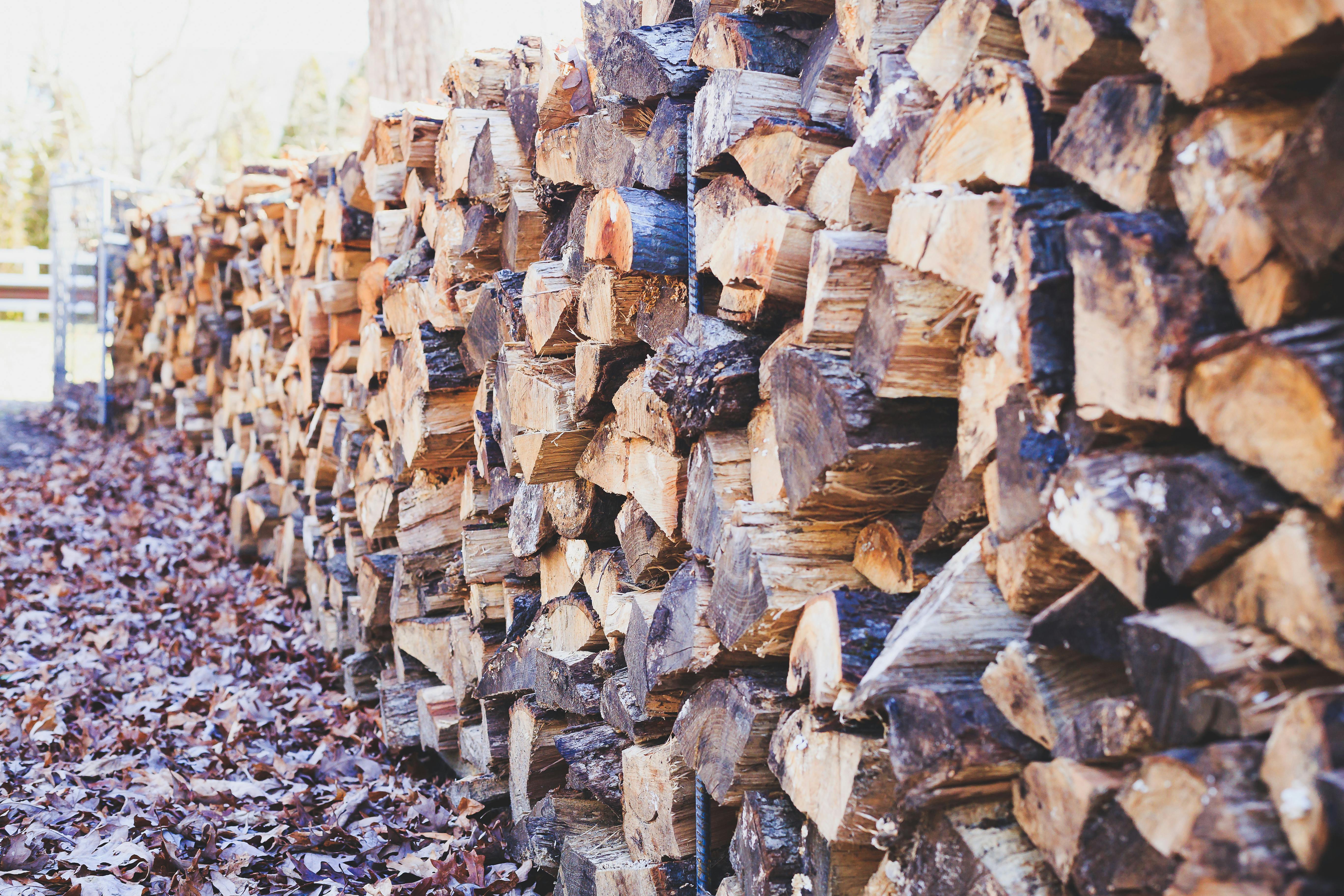 Firewood (bundle)